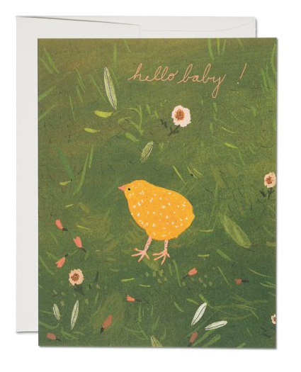 Baby Chick Card