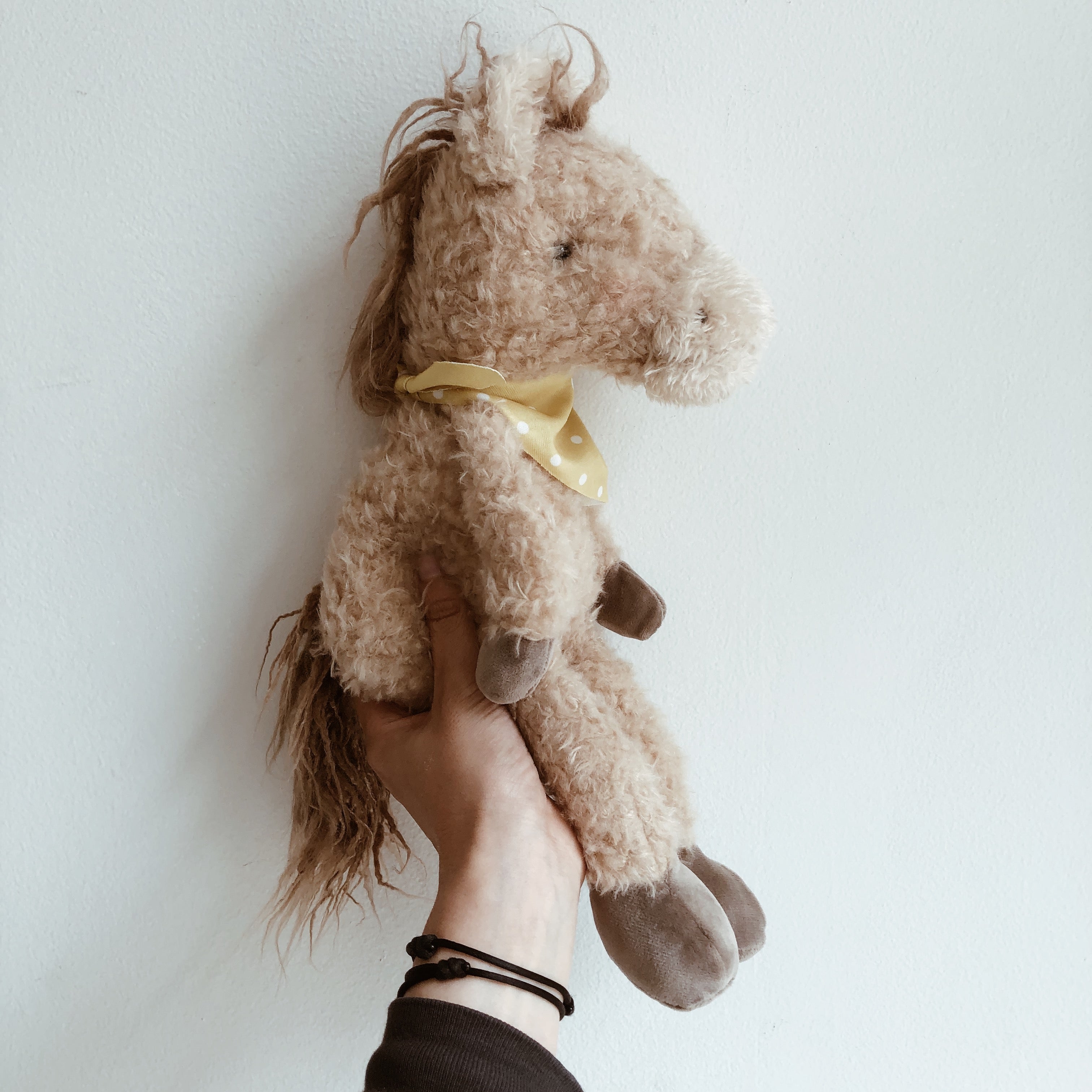 Pony Boy Horse